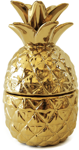 Download Abacaxi Dourado Png Pote Abacaxi Full Size Png Image Pngkit