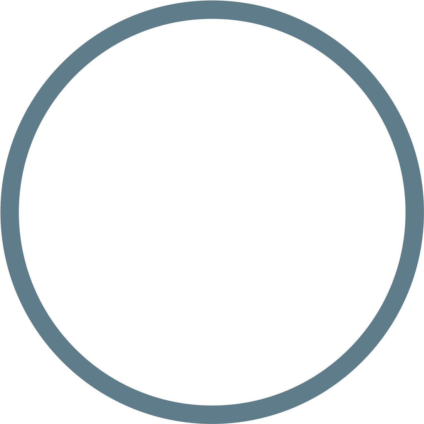Full Moon Icon - Hide (1600x1600), Png Download