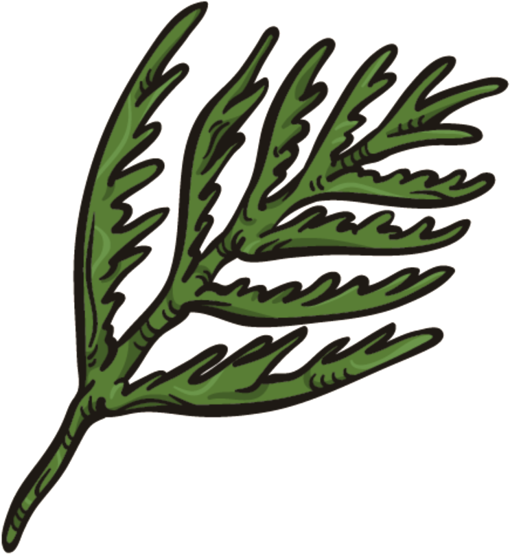 Coral Leaves Png Transparent - Illustration (1024x1024), Png Download