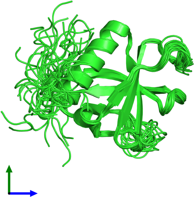 Pdb 2coc Coloured By Chain And Viewed From The Front - Graphic Design (800x800), Png Download