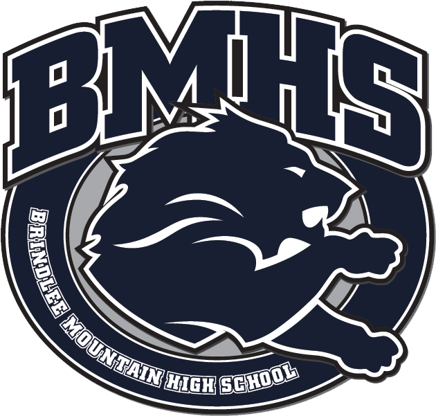 Brindlee Mountainhigh School - Brindlee Mountain High School Football (660x660), Png Download