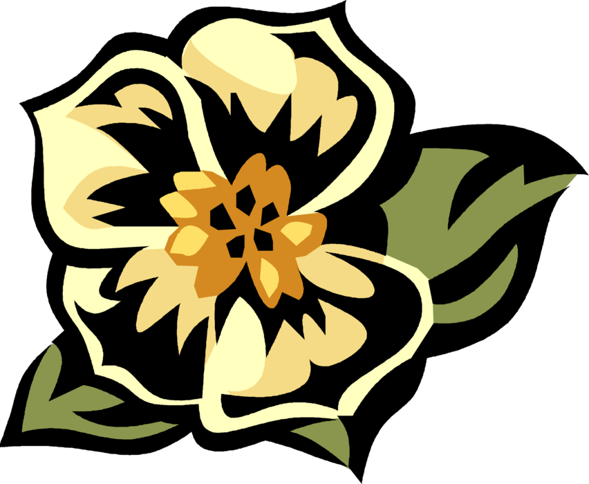 Picture Freeuse Library Morning Glory Flowering Image (852x700), Png Download