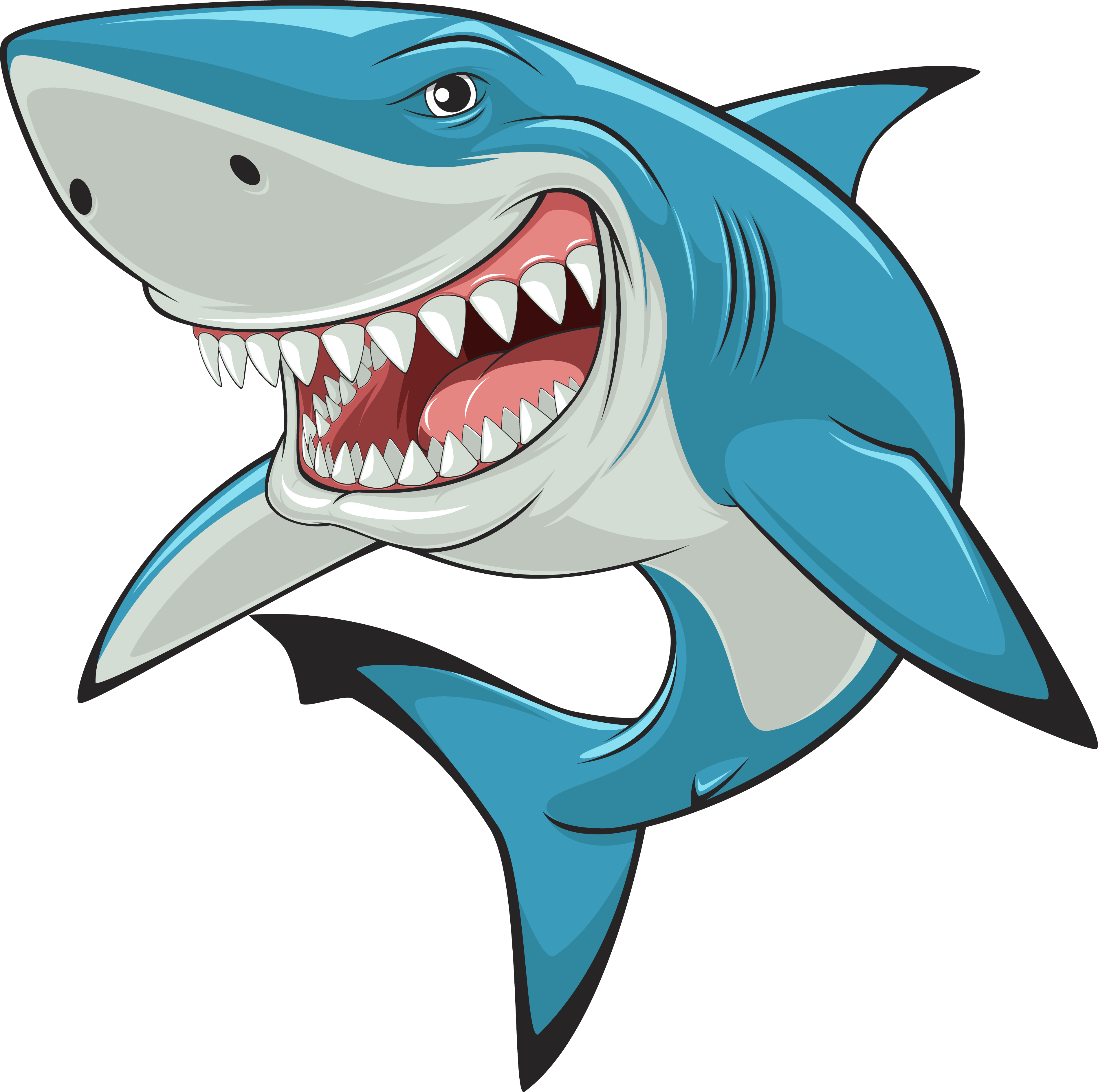 Vector Royalty Free Stock Hammerhead Great White Art - Shark Cartoon (3793x3773), Png Download