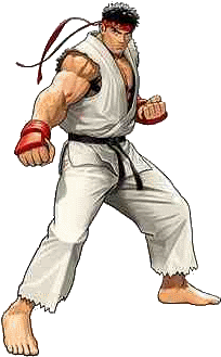 Ryustreetfighter3 - Nike Sb Dunk Street Fighter (333x364), Png Download