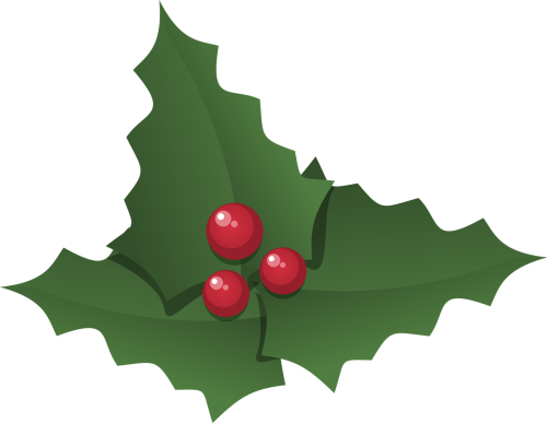 Christmas,holly,holly - Christmas Day (500x387), Png Download