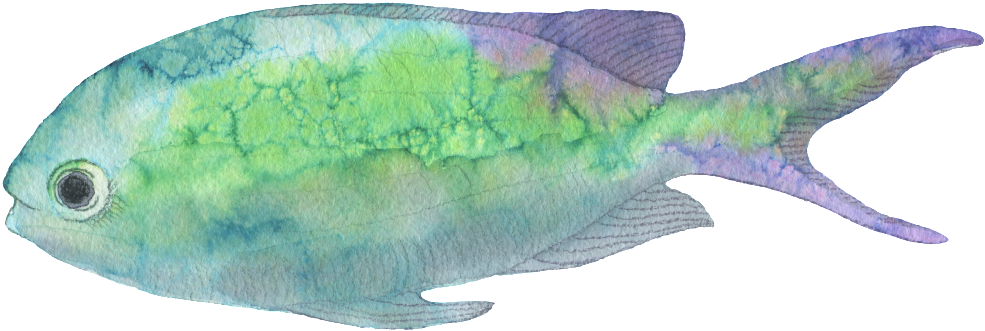 Este Gráficos Es Green Small Fish Hand-painted Watercolor - Watercolor Painting (1024x384), Png Download