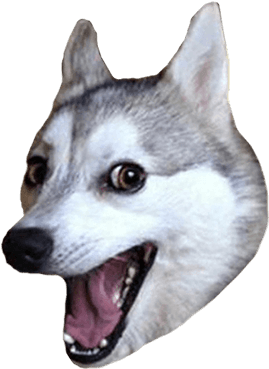 Photo Editor & Meme - Punchline Dog (408x408), Png Download