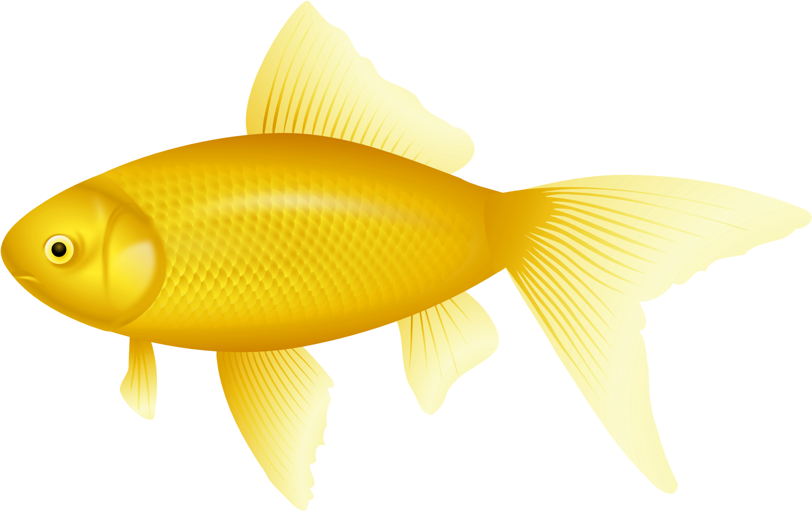 Yellow Fish Png Clipart - Yellow Fish Png (1670x1073), Png Download