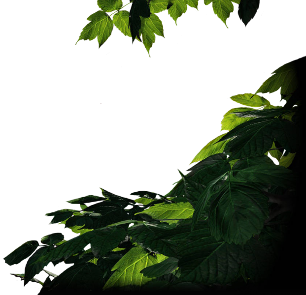 The Last Of Us Render Comments - Last Of Us Render (621x600), Png Download