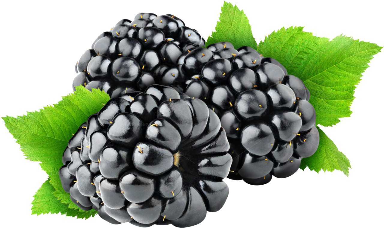 Free Png Blackberry Png Images Transparent - Black Berry Fruit Png (850x579), Png Download