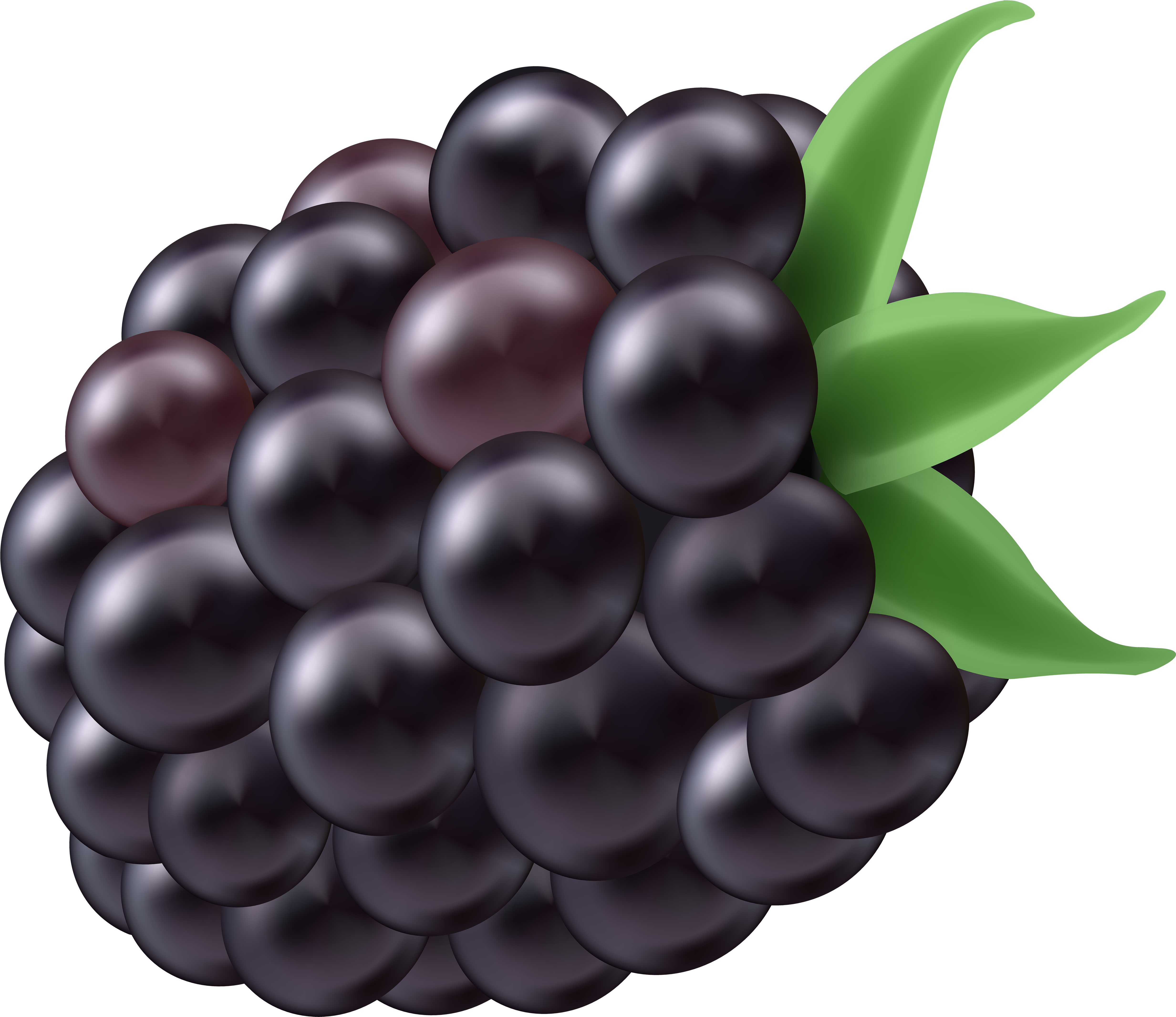 Blackberry (5000x4322), Png Download