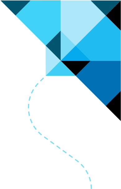 About Insight Professional Affiliations - Blue Kite Png (600x605), Png Download