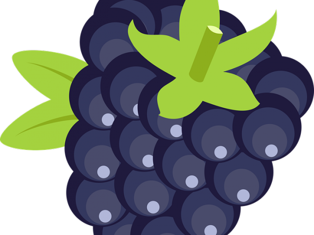 Blackberry Fruit Png Transparent Images - Blackberry Fruit Icon Png (640x480), Png Download