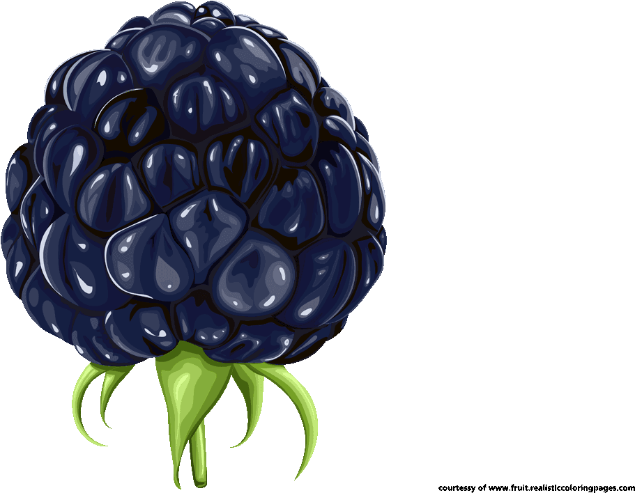 Blackberry Clipart Blackberry Fruit - Clip Art (1280x720), Png Download