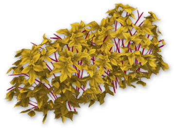 Blackberry Bush Dead - Portable Network Graphics (370x370), Png Download
