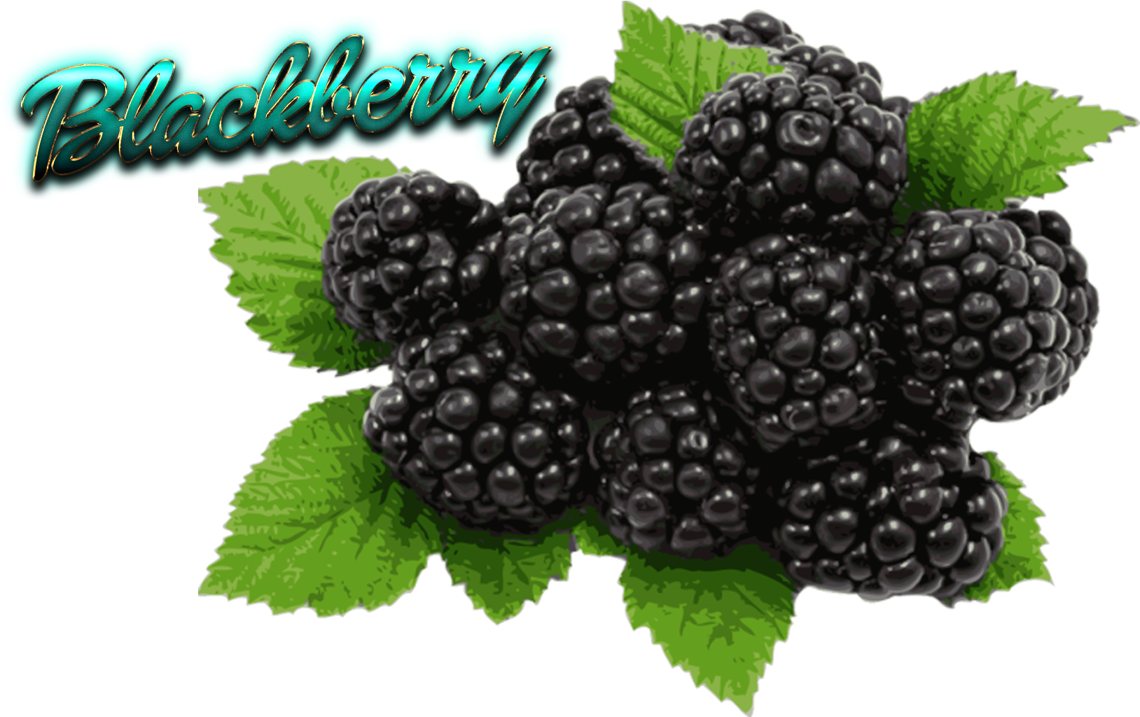 Blackberry Fruit (1920x1200), Png Download
