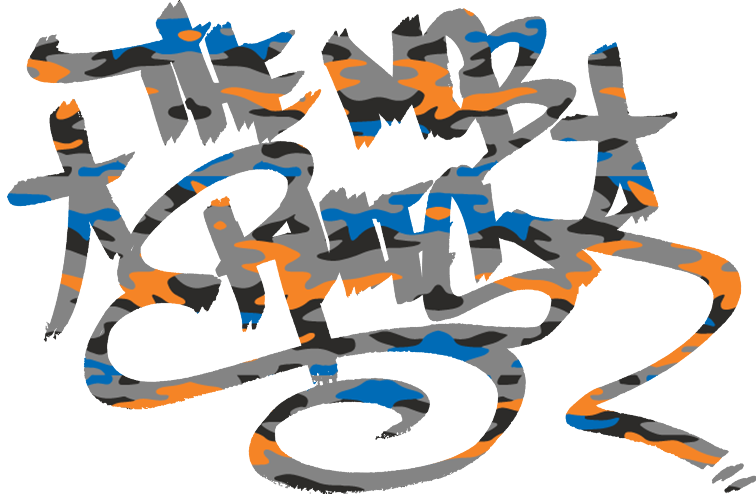 Camousphere Knicks - Graphic Design (3217x2703), Png Download