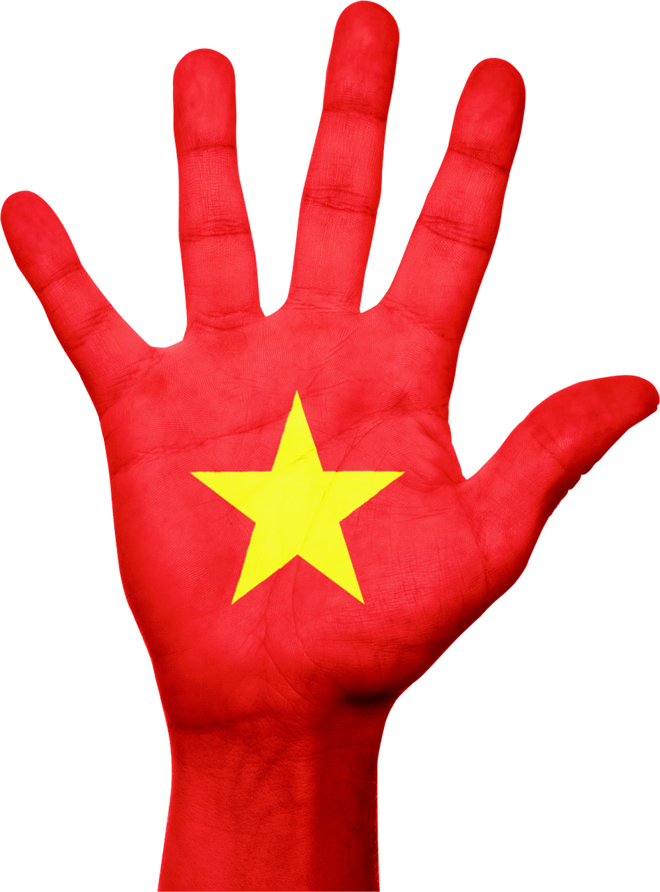 Vietnam Flag Png (473x640), Png Download