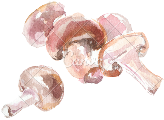 Image Result For Watercolor Mushrooms - Watercolor Painting (550x402), Png Download