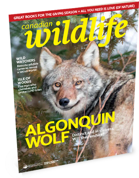 Canadian Wildlife Magazine Cover Subscribe Button - Biosphere (490x617), Png Download