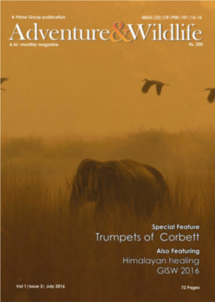 Magazine Cover Pictures - Magazine (1280x1000), Png Download