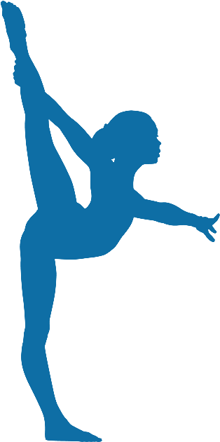 Gymnastics Transparent Png Sport - Gymnastics Transparent (500x643), Png Download