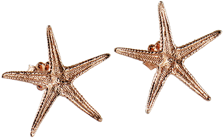 Sea Star Large Stud Earrings - Sea Star Earrings (491x435), Png Download