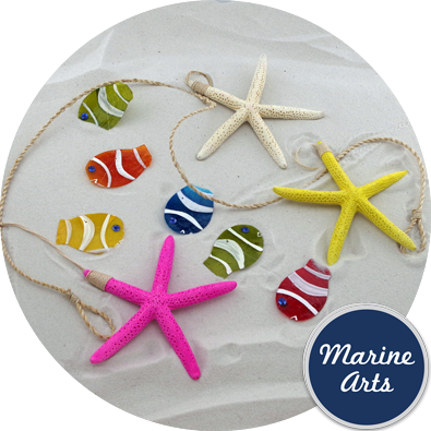 Starfish (395x395), Png Download