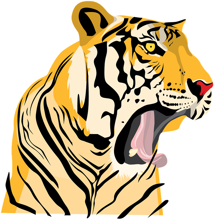 Tiger (960x678), Png Download