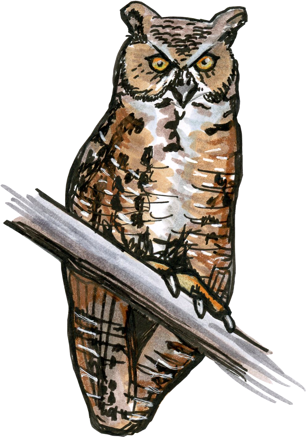 Horned Owl Png Banner Free - Great Horned Owl (1558x1558), Png Download
