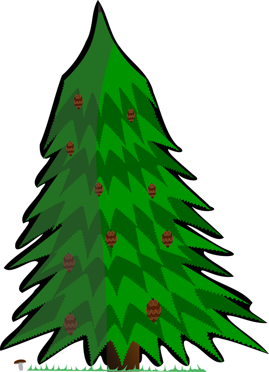 Conifer Vector Tree - Jehličnatý Strom Png (926x1280), Png Download