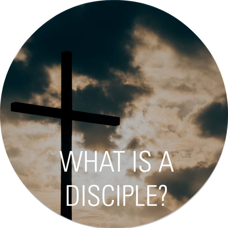 What Is A Disciple Circle - Route (800x800), Png Download