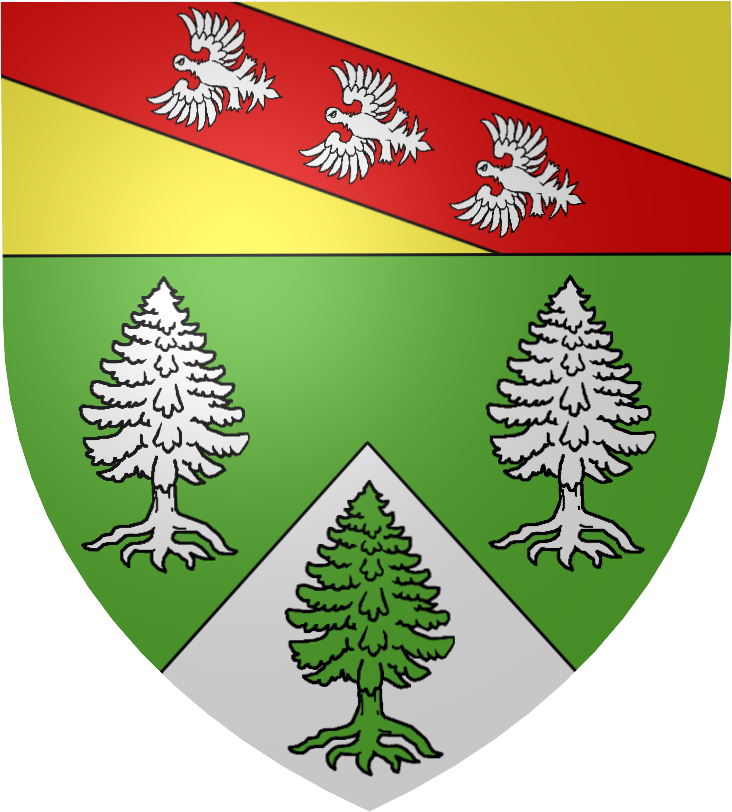 Blason Vosges - Saint-nicolas-de-port (732x812), Png Download