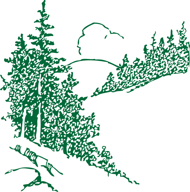 Mountain Pine Conifer Cone Download Computer Icons - Mountain With Trees Outline (744x750), Png Download