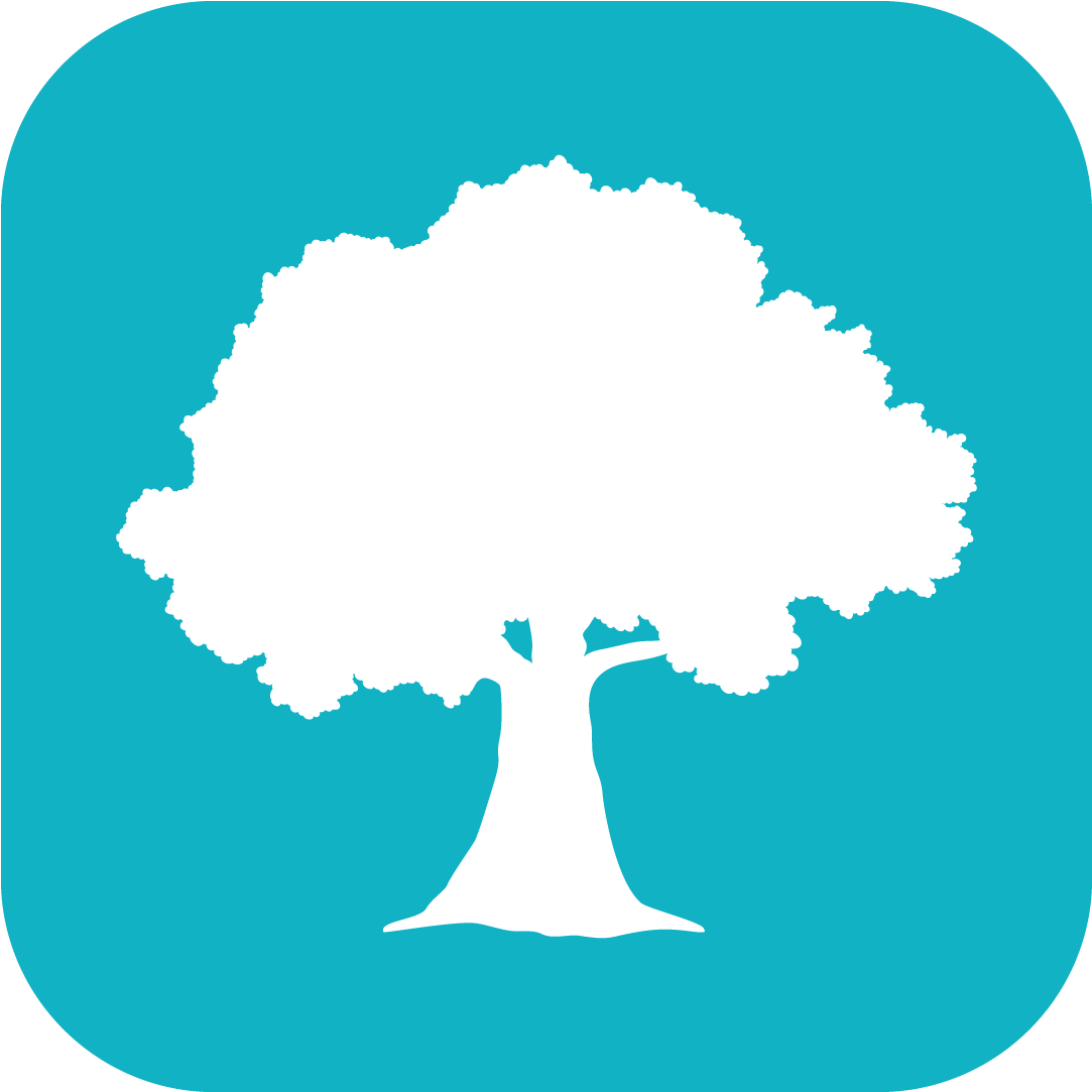 Willow Oaks Stories & Songs App Prototype Icon - Illustration (1500x1200), Png Download
