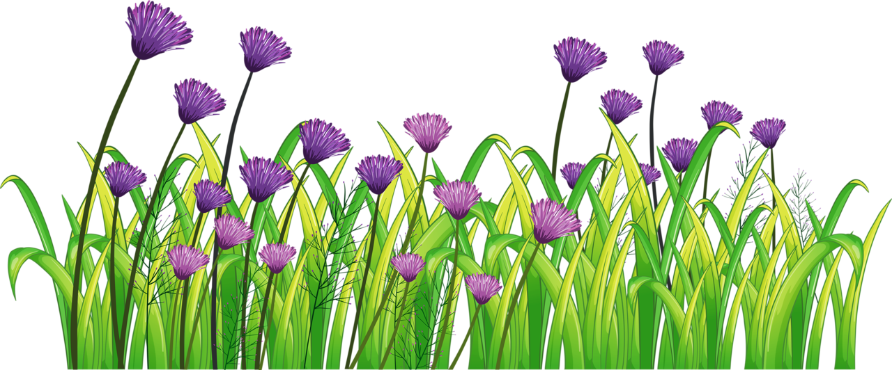 Фото, Автор Soloveika На Яндекс - Fence Flowers Clipart Hd (1280x532), Png Download