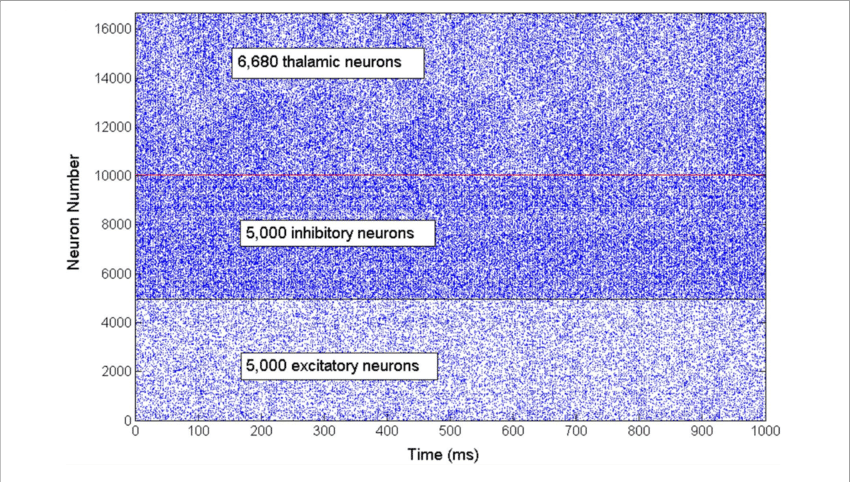 A Rastergram Illustrates The Asynchronous Firing Activity - Neuron (850x482), Png Download