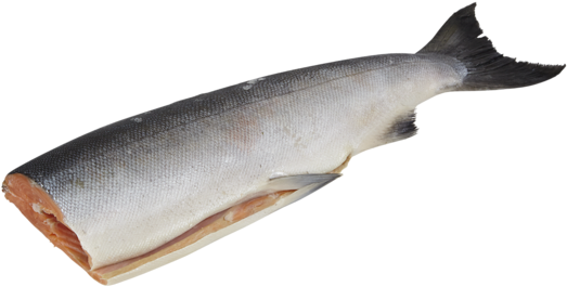 Wild Pacific King Salmon Vital Choice - Pacific Wild (580x580), Png Download