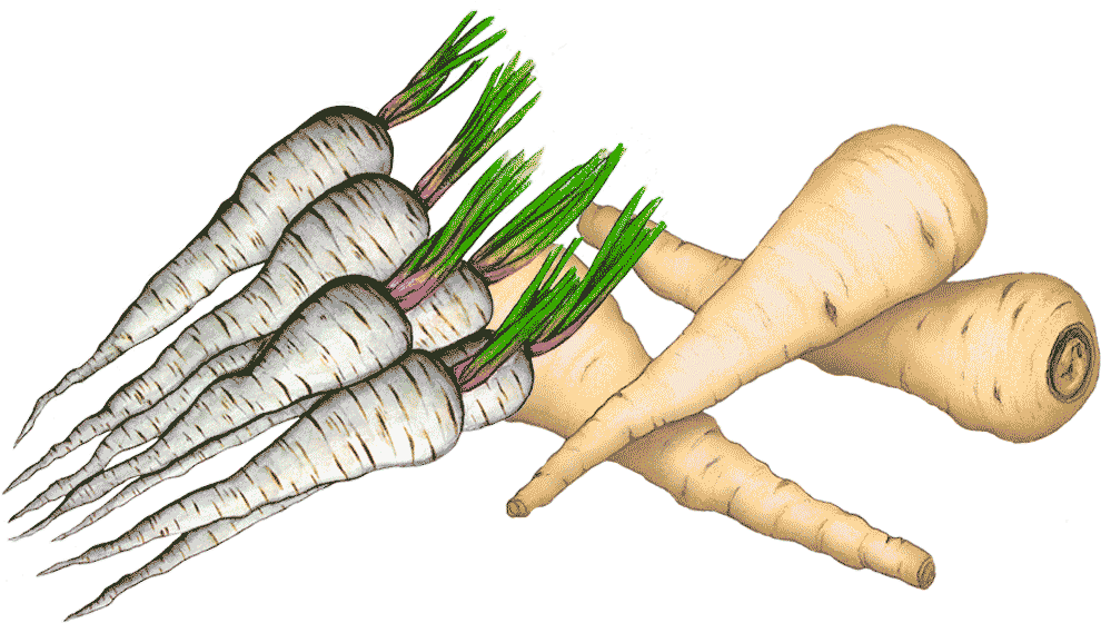 6 Érosion Génétique - Carrot (1652x644), Png Download