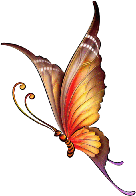 110795351 Large 0 A3e96 558d1632 Xl Butterfly Pattern, - Butterfly Images For Drawing With Colour (481x700), Png Download