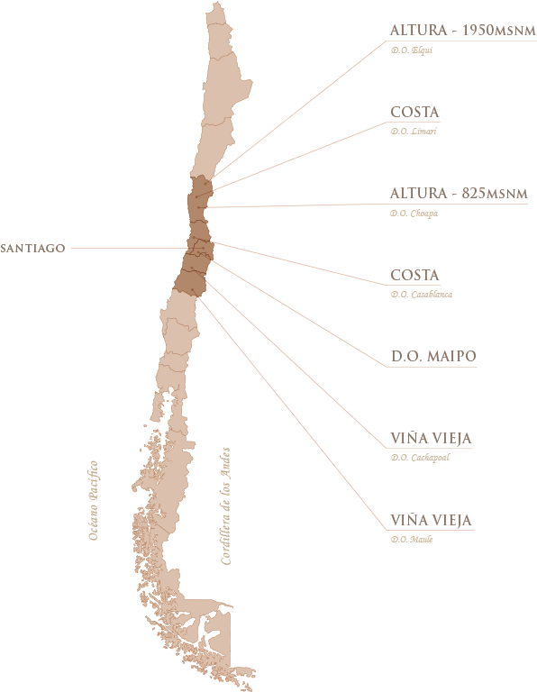 “hemos Recorrido Chile De Norte A Sur Y De La Costa - Mapa De Chile Png (610x798), Png Download