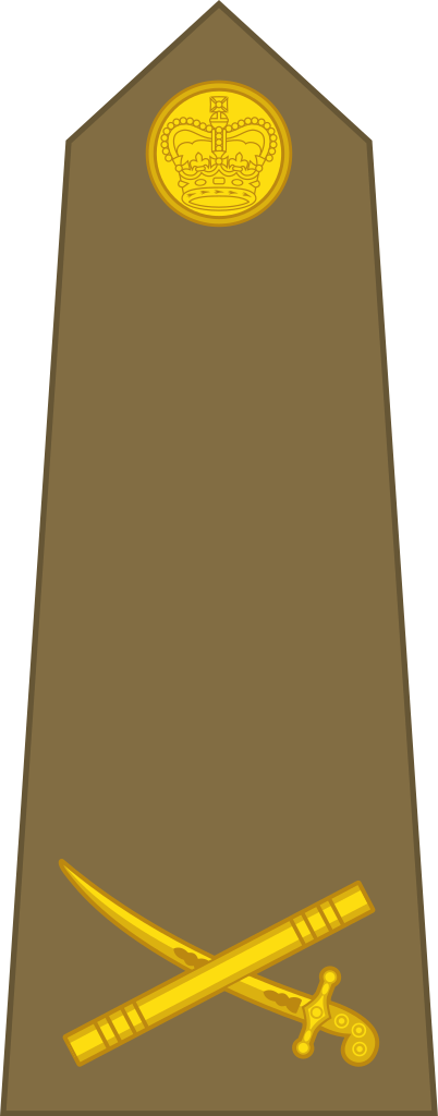 Most Modern Commentators Will Inform The Reader That - Pak Army Medical Corps Generals (402x1024), Png Download