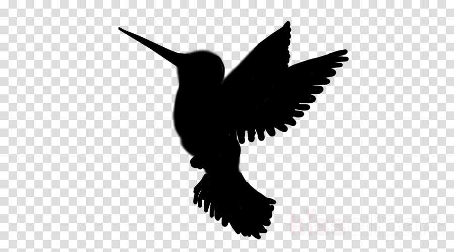 Download Hummingbird Silhouette Png Clipart Hummingbird - Black And White Graphic Satellite (900x500), Png Download