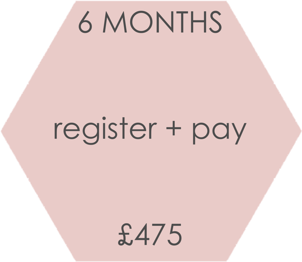 6 Months Botton (1000x1000), Png Download