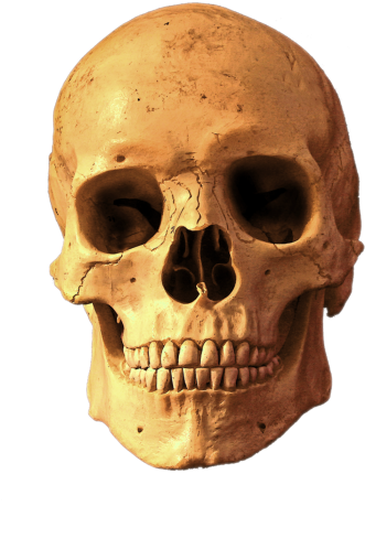 Skull Png Images - Coque Tete De Mort 38 Compatible Samsung S3 Mini Transparent (715x715), Png Download