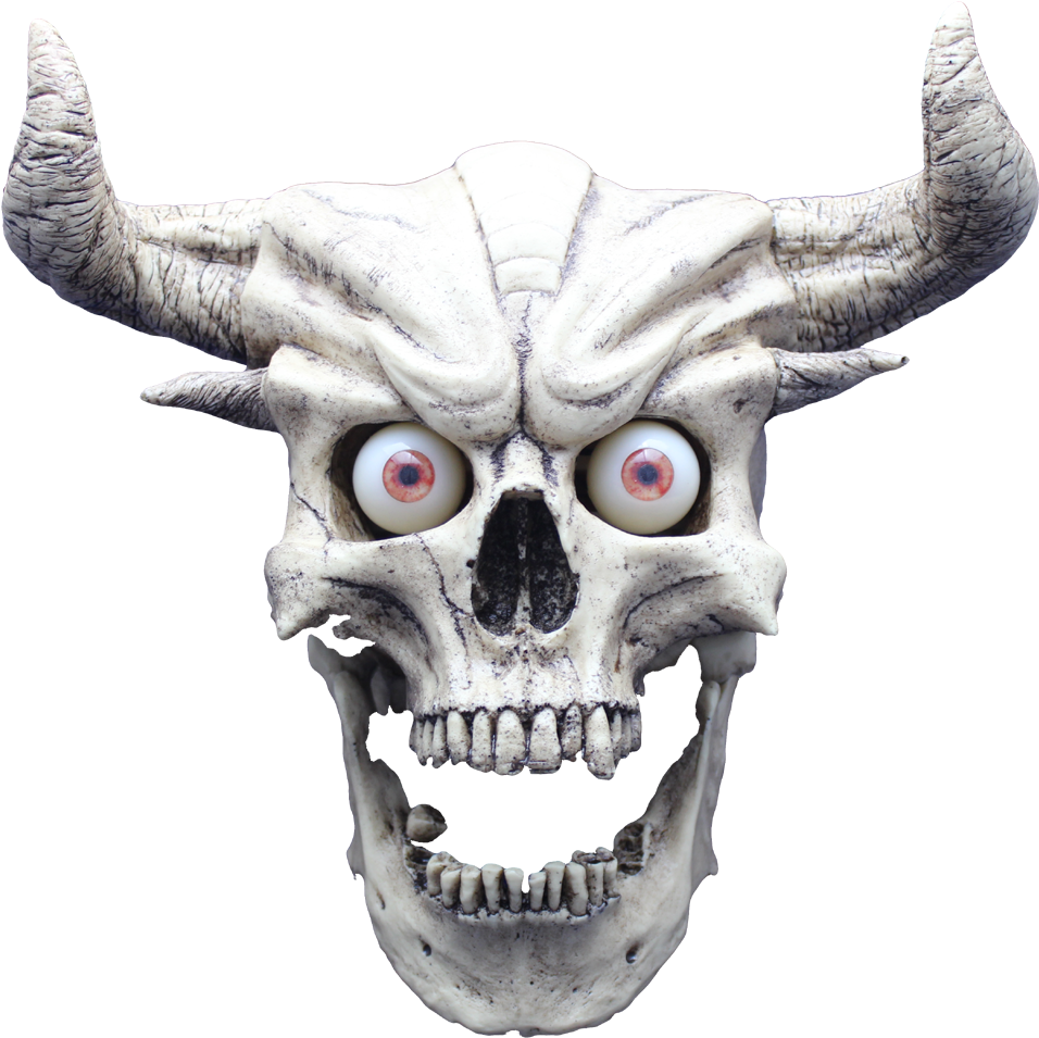 Skull Without Jaw Png - Skull (1000x974), Png Download
