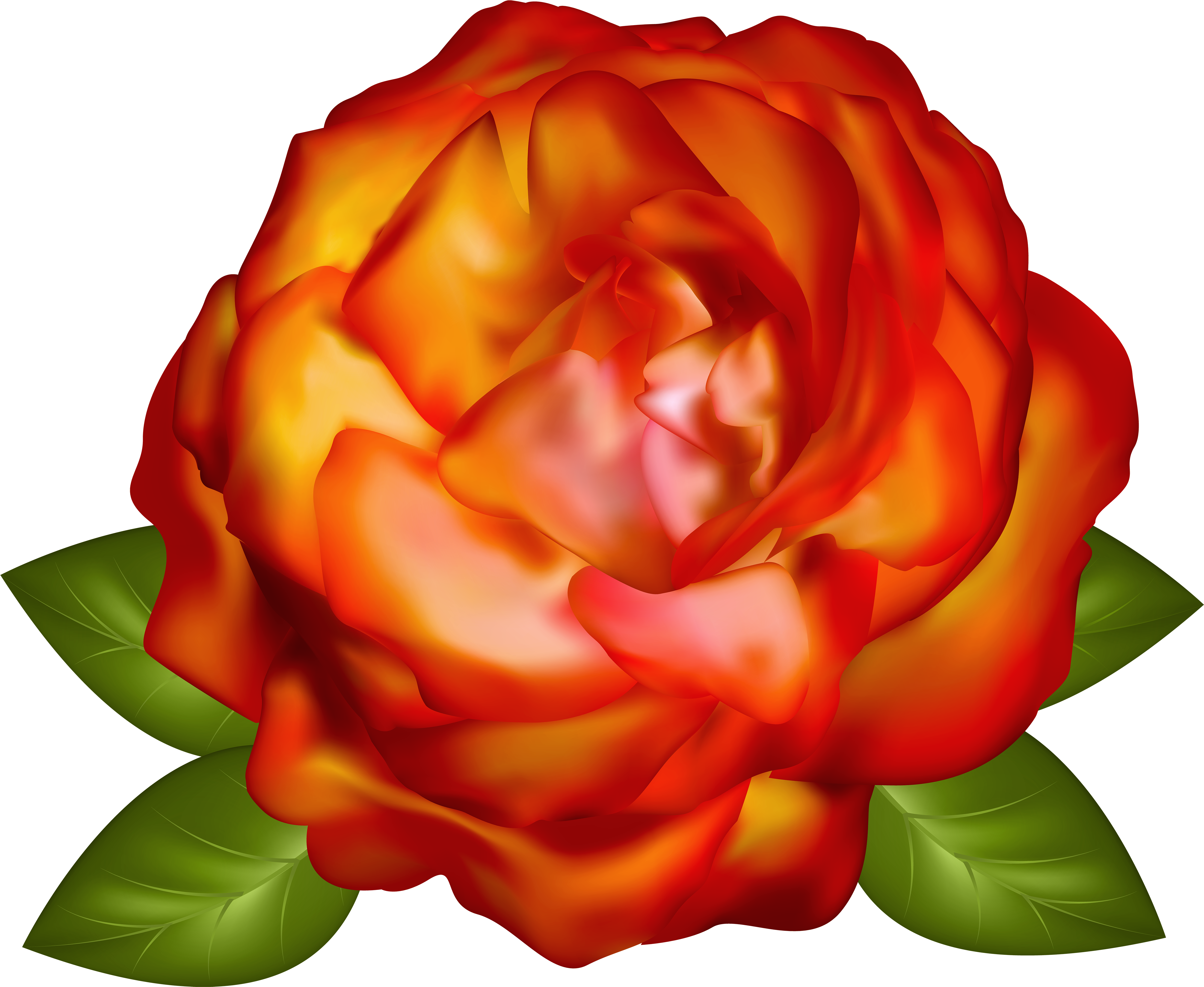 Rose (5000x4100), Png Download