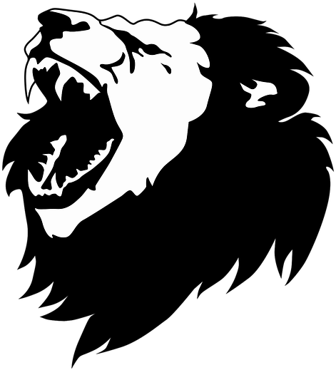 Thumb Image - Lion Vector (641x720), Png Download