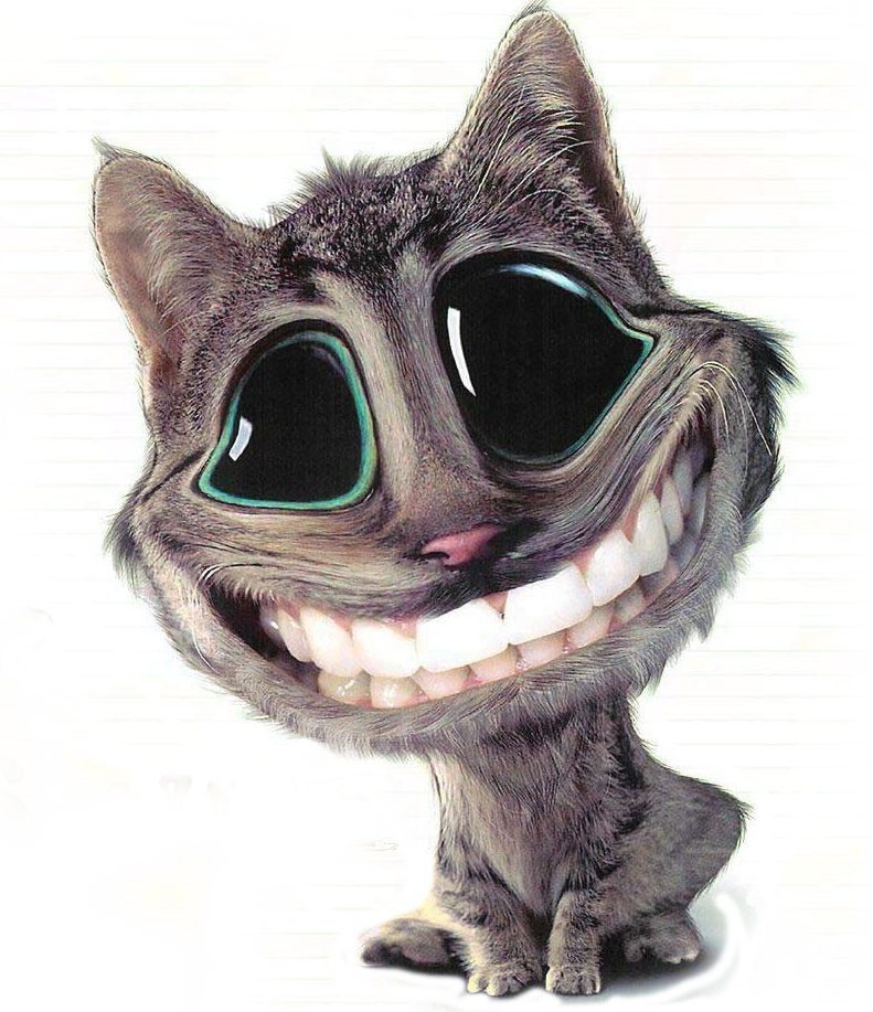 Why - Keep Your Smile Cat (791x917), Png Download