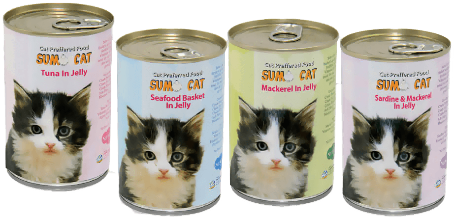 Sumo Cat - Kitten (1000x1000), Png Download